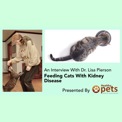 Animal Wellness Veterinarian Dr. Karen Becker