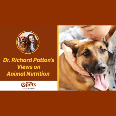 Animal Wellness Veterinarian Dr. Karen Becker