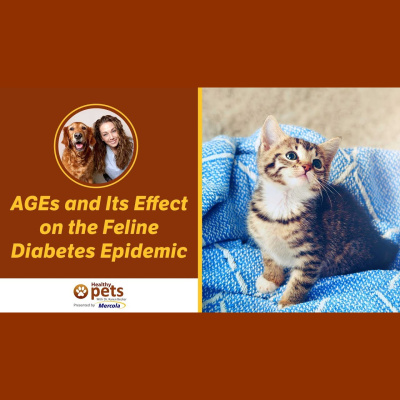 Animal Wellness Veterinarian Dr. Karen Becker