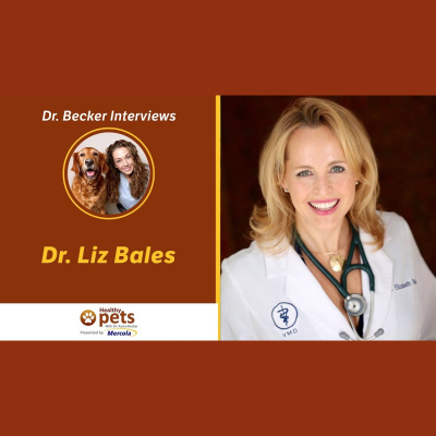 Animal Wellness Veterinarian Dr. Karen Becker