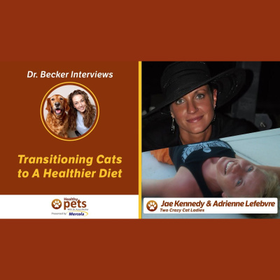 Animal Wellness Veterinarian Dr. Karen Becker