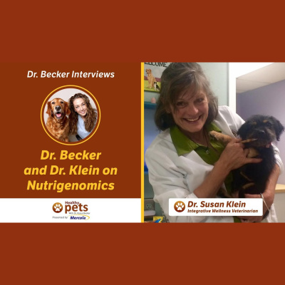 Animal Wellness Veterinarian Dr. Karen Becker