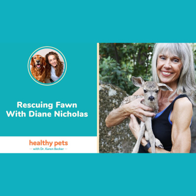Animal Wellness Veterinarian Dr. Karen Becker