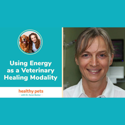 Animal Wellness Veterinarian Dr. Karen Becker