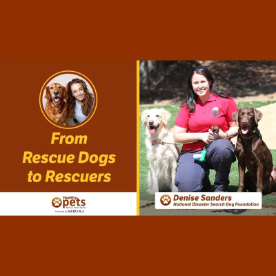 Animal Wellness Veterinarian Dr. Karen Becker