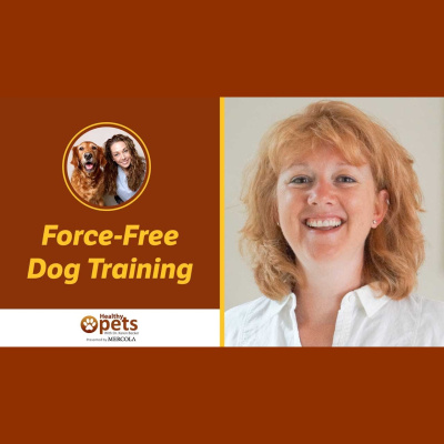 Animal Wellness Veterinarian Dr. Karen Becker