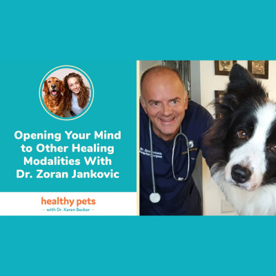 Animal Wellness Veterinarian Dr. Karen Becker