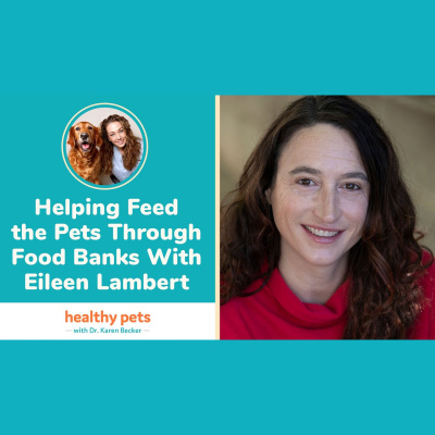 Animal Wellness Veterinarian Dr. Karen Becker