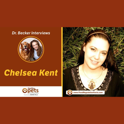 Animal Wellness Veterinarian Dr. Karen Becker