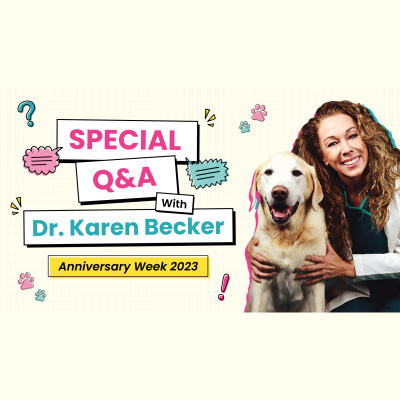 Animal Wellness Veterinarian Dr. Karen Becker
