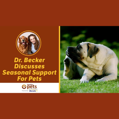 Animal Wellness Veterinarian Dr. Karen Becker