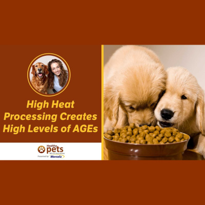 Animal Wellness Veterinarian Dr. Karen Becker