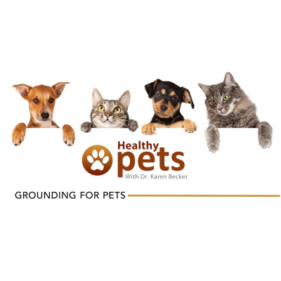 Animal Wellness Veterinarian Dr. Karen Becker