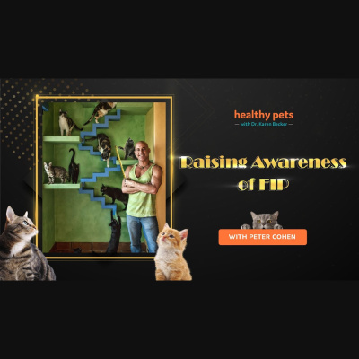 Animal Wellness Veterinarian Dr. Karen Becker