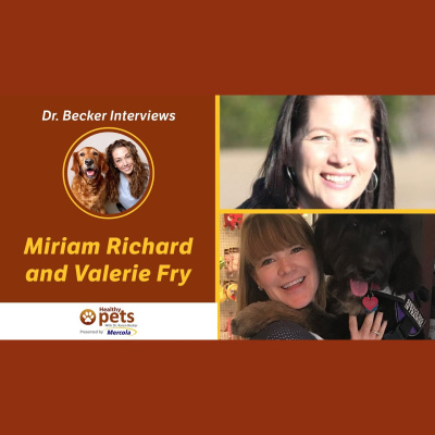 Animal Wellness Veterinarian Dr. Karen Becker