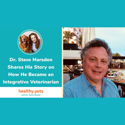 Animal Wellness Veterinarian Dr. Karen Becker