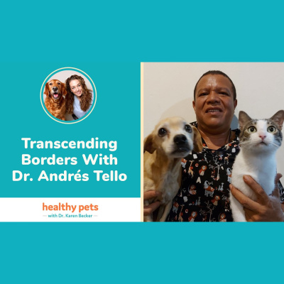 Animal Wellness Veterinarian Dr. Karen Becker