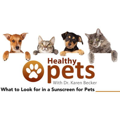 Animal Wellness Veterinarian Dr. Karen Becker