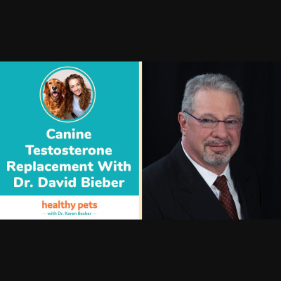 Animal Wellness Veterinarian Dr. Karen Becker