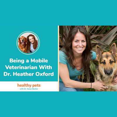 Animal Wellness Veterinarian Dr. Karen Becker