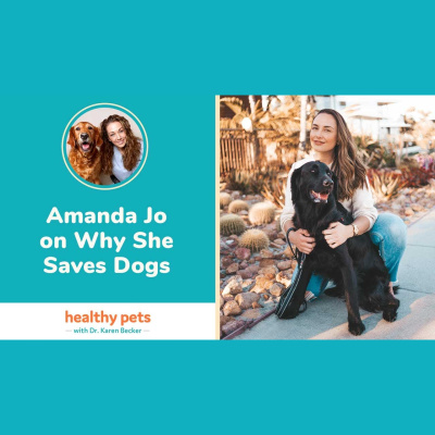 Animal Wellness Veterinarian Dr. Karen Becker