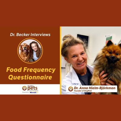 Animal Wellness Veterinarian Dr. Karen Becker