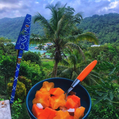 David Alvarado Muñoz Show