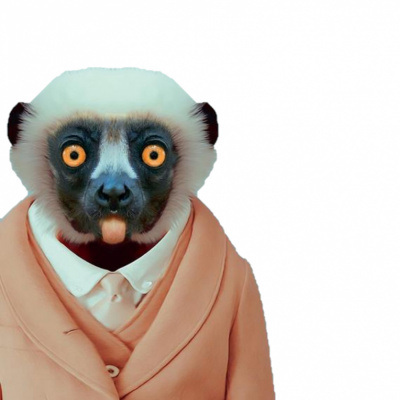 Le Cri De La Girafe - Nos Cris