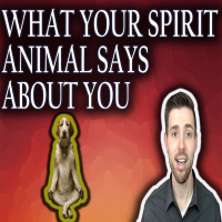 FIND YOUR SPIRIT ANIMAL!