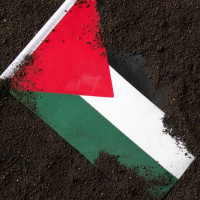 The West Truly Doesnt See Palestinians As Human