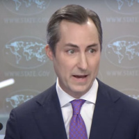 Were Basically Being Asked To Believe That The Palestinians Are Genociding Themselves