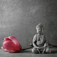 Humanity Must Awaken From The Dream Of Separation