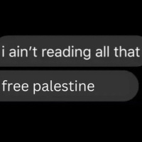 I Aint Reading All That Free Palestine