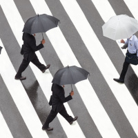 Dont Take Instruction On How To Live Your Life From A Stark Raving Mad Society