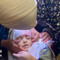 One More Dead Palestinian Kid