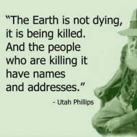 On Becoming The First Species To Go Extinct From Politeness