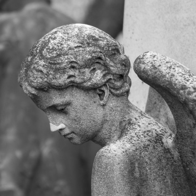 Going Rogue With Caitlin Johnstone