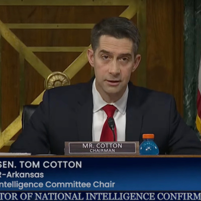 Going Rogue With Caitlin Johnstone