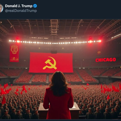 Going Rogue With Caitlin Johnstone