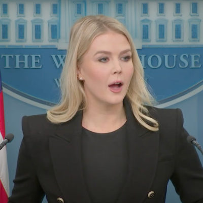 Going Rogue With Caitlin Johnstone