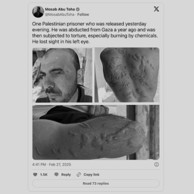 Going Rogue With Caitlin Johnstone