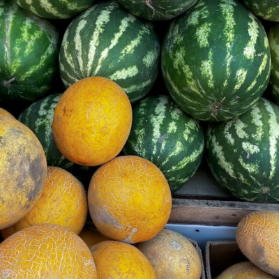 Going Rogue With Caitlin Johnstone