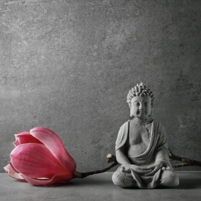 Going Rogue With Caitlin Johnstone