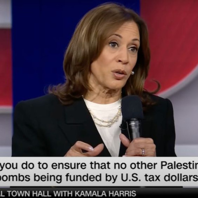 Going Rogue With Caitlin Johnstone