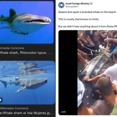 Going Rogue With Caitlin Johnstone