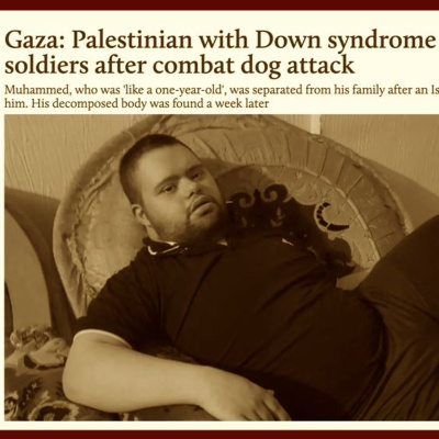 Going Rogue With Caitlin Johnstone