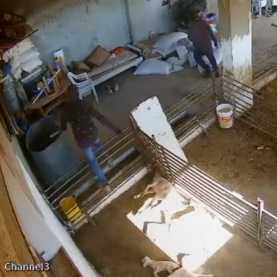 Going Rogue With Caitlin Johnstone