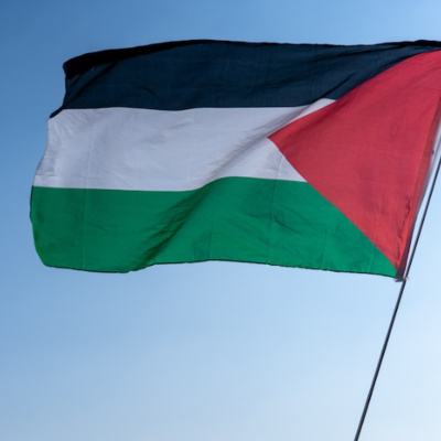 Going Rogue With Caitlin Johnstone