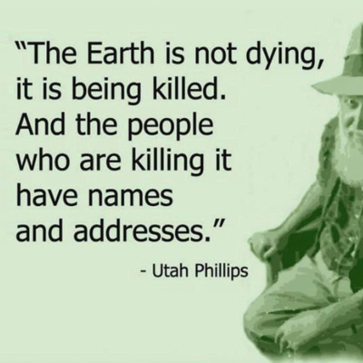 Going Rogue With Caitlin Johnstone