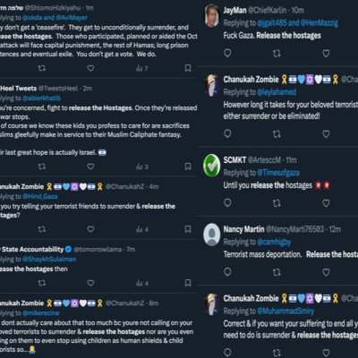 Going Rogue With Caitlin Johnstone